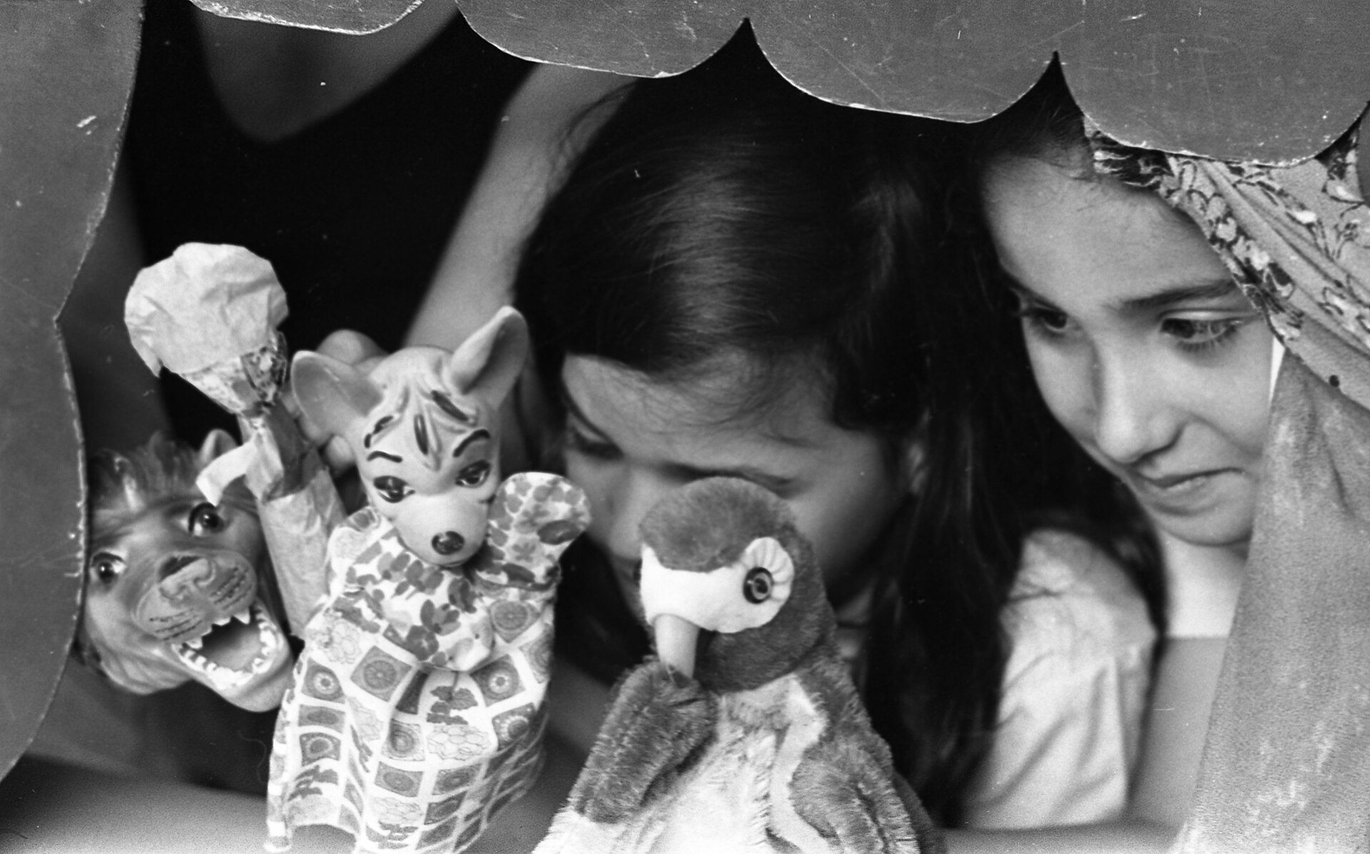 International Education in Playa Venao: The Clearest Signal of a Maturing Market